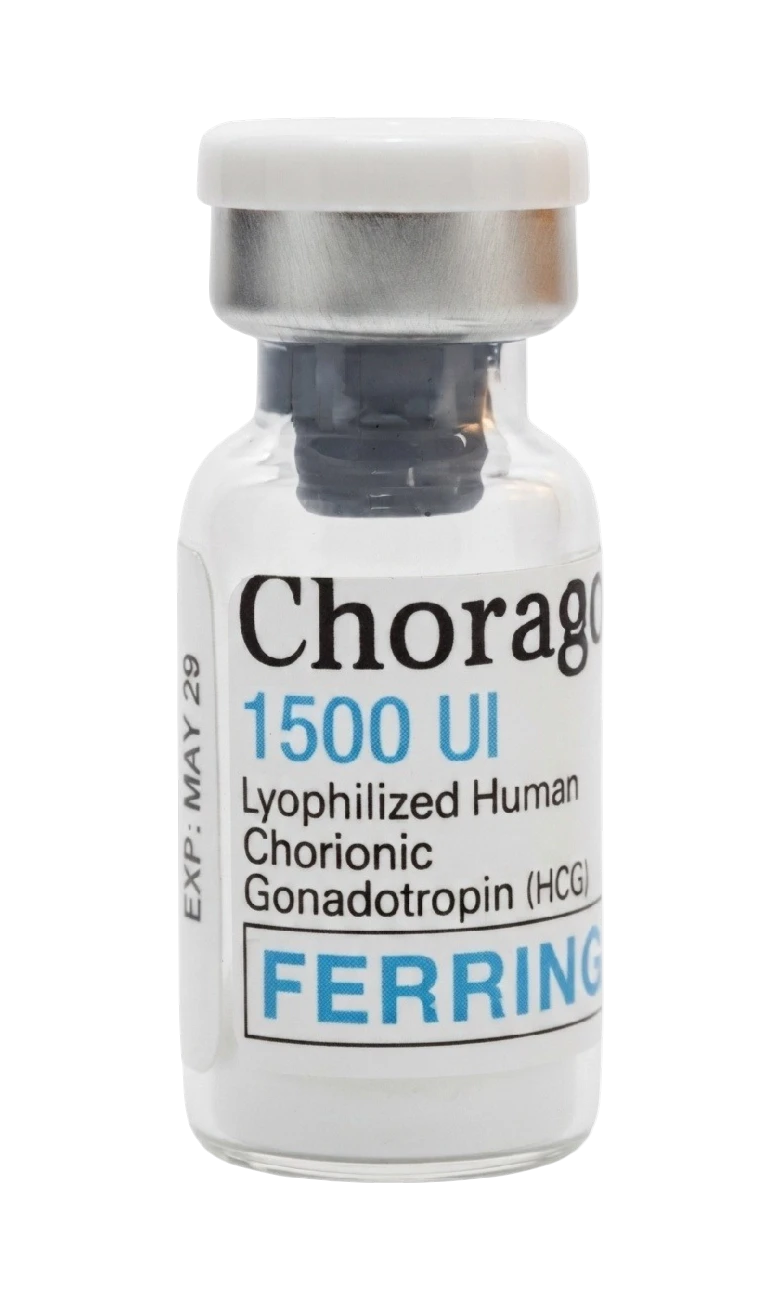 Human Chorionic Gonadotropin